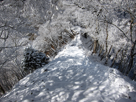 20191129hike (173)